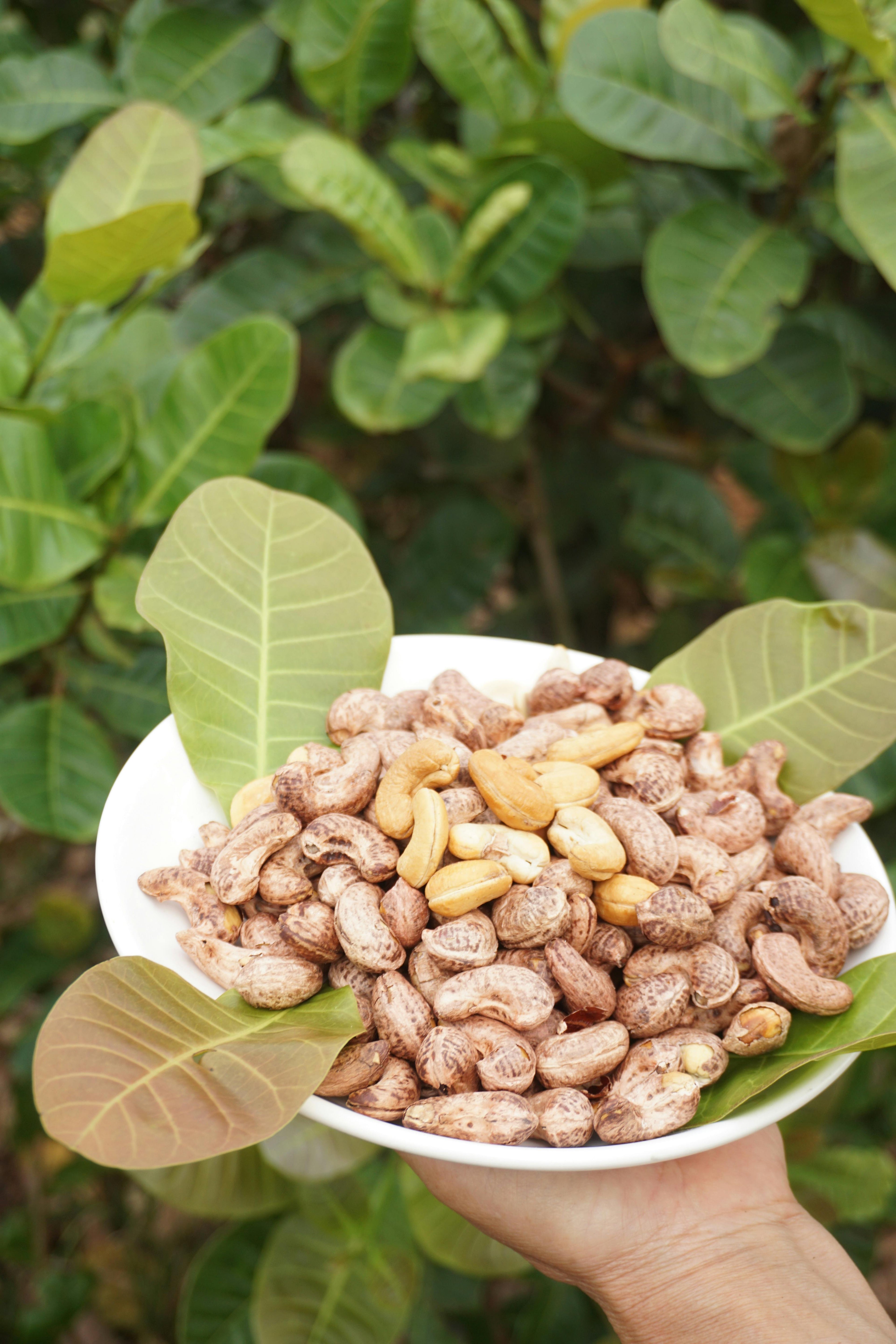 Spring Tropics Gourmet Granola