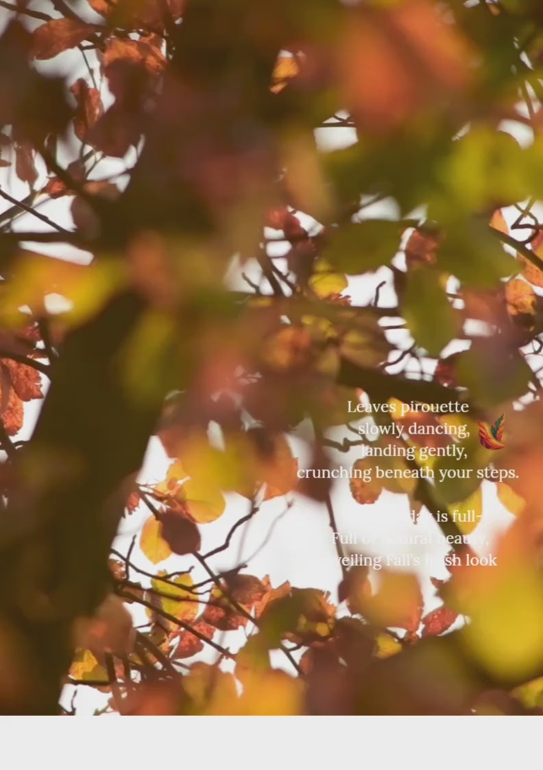 Fall Festival Gourmet Granola